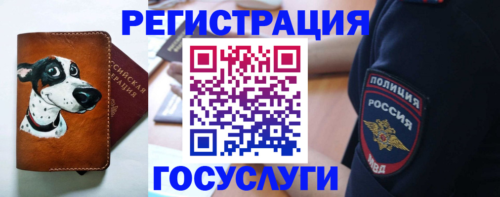 временная регистрация в квартире в Новодвинске